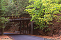 A second shot of the bridge inside Richardson Grove State Park. Richardson Grove, CA 'Nikon F100 35mm SLR' (Click for larger view)