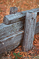 Close up view of one of the weathered fence posts along the entrance road. Richardson Grove, CA 'Nikon F100 35mm SLR' (Click for larger view)