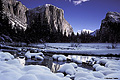 This early morning shot of El Capitan was taken the day after a fresh snow, and yes it was cold. Yosemite, CA 'Nikon F100 35mm SLR' (Click for larger view)