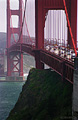 This view of the Golden Gate bridge was taken on a summer day with the fog covering San Francisco. I have listed this picture as being taken in San Francisco because most people know it from that location, however this photo was actually taken from the Marin County side of the bridge. Even though I have lived in California all my life this was the first time I had walked across the brige. San Francisco, CA. 'Nikon F100 35mm SLR' (Click for larger view)