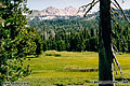 Meadow area next to Wright's Lake, CA. 'Minolta Maxxum 5000 35mm SLR' (Click for larger view)