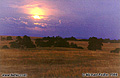 Full moon just before the last rays of the sun disappear. Folsom, CA 'Nikon F100 35mm SLR' (Click for larger view)
