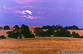Foothill moonrise. Folsom, CA 'Nikon F100 35mm SLR' (Click for larger view)