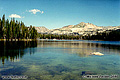 Now that the sun is up the beauty of the lake is apparent. Notice how clear the water is. This lake is not very deep. In most places you can stand without the water going over your head. (That is if you can stand the cold!) Wright's Lake, CA. 'Minox 35EL 35mm' (Click for larger view)