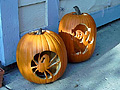 Taken out in front of my house on Halloween. 'Minolta Dimage V Digital' (Click for larger view)