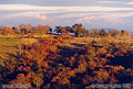 Late afternoon / early evening hillside view. Rocklin, CA 'Minolta X-700 35mm SLR' (Click for larger view)