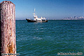 This first shot in a series of the San Francisco Bay was taken while walking along the road in Sausalitio. The San Franciscan skyline can be seen in the background. Sausalito, CA. 'Nikon F100 35mm SLR' (Click for larger view)