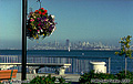 The last photo in the series of San Francisco Bay was taken from a parking lot in Sausalito. In this view I was able to get a nice shot of San Francisco in the background. The dark haze over the city is moisture in the air. Sausalito, CA. 'Nikon F100 35mm SLR' (Click for larger view)