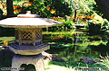 This peacefull scene is located in the 'Japanese Tea Garden' located in Golden Gate Park. San Francisco, CA. 'Nikon F100 35mm SLR' (Click for larger view)