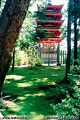 A traditional Japanese style structure at the 'Japanese Tea Garden' located in Golden Gate Park. San Francisco, CA. 'Nikon F100 35mm SLR' (Click for larger view)