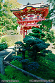 A second traditional Japanese style structure at the 'Japanese Tea Garden' located in Golden Gate Park. San Francisco, CA. 'Nikon F100 35mm SLR' (Click for larger view)