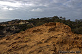 I climbed up on top of this interesting formation to get an overall view. Torrey Pines, CA 'D70 Digital SLR' (Click for larger view)