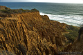 The distinctive eroded cliffs of Torrey Pines. Torrey Pines, CA 'D70 Digital SLR' (Click for larger view)