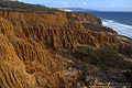 This picture was taken while hiking at the top of the cliffs. Torrey Pines, CA 'D70 Digital SLR' (Click for larger view)