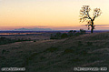 This sunset view is from a point just south of Chico looking toward the southwest. The mountains in the background are the Sutter Buttes. Near Chico, CA. 'Nikon F100 35mm SLR' (Click for larger view)