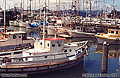 Some of the many fishing boats docked along Fisherman's Wharf. San Francisco, CA. 'Minolta X700 35mm SLR' (Click for larger view)