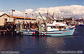 Another fishing boat at Fisherman's Wharf. As I recall it was fairly windy the day this picture was taken. San Francisco, CA 'Minolta X700 35mm SLR' (Click for larger view)