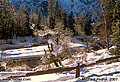 Another morning scene in Yosemite valley. As you can see this image was taken facing the southeast with the long shadows of the early morning sun falling on the snow. 'Nikon F100 35mm SLR' (Click for larger view)