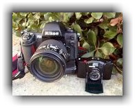 Nikon F100 vs. Minox 35EL (Click for larger view)